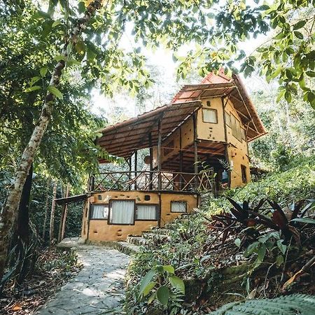 Chirapa Manta Amazon Lodge Lamas Exterior foto
